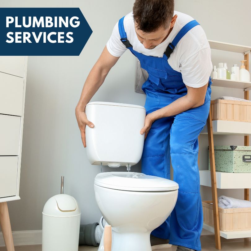 Plumbing Company in North Blenheim, NY